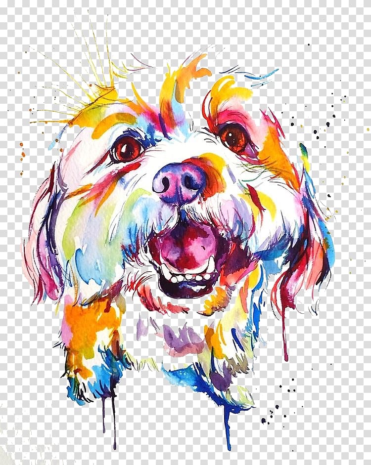 multicolored dog face illustration, Dog breed Watercolor painting Border Collie Shih Tzu, painting transparent background PNG clipart