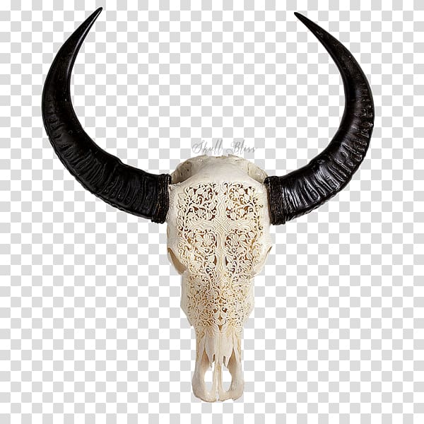 Cattle Décoration Furniture Skull Decorative arts, buffalo skull transparent background PNG clipart