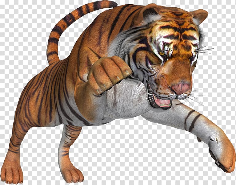Tiger Lion Cat , tiger transparent background PNG clipart