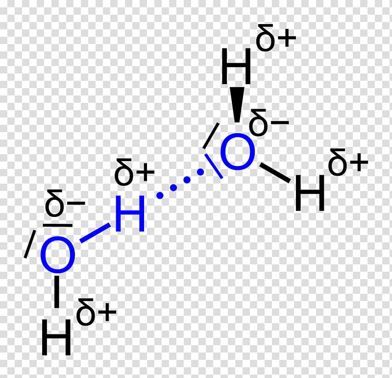 Androstane Ether Steroid Gonane Isomer, others transparent background PNG clipart