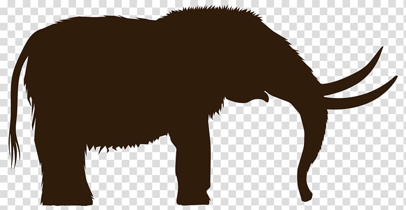 Christian Woolly mammoth Open Mastodon, elephants transparent background PNG clipart