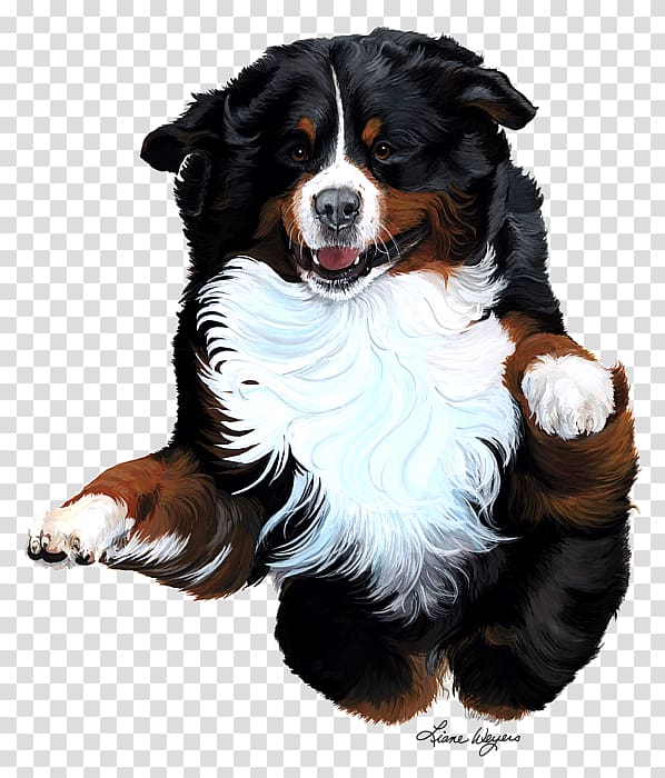 Bernese Mountain Dog Dog breed Companion dog Painting, painting transparent background PNG clipart