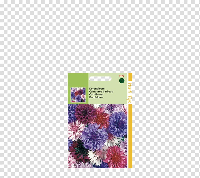 Cornflower Cyanus Polka dot, Centaurea cyanus transparent background PNG clipart