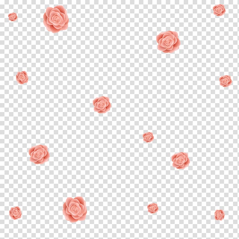 Flower Beach rose Petal, Light pink dream roses floating material transparent background PNG clipart