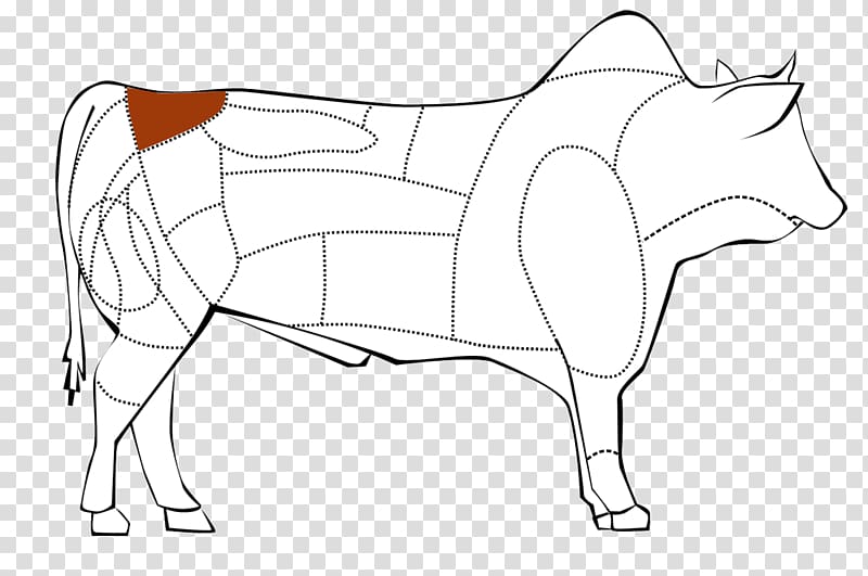 Cattle Drawing /m/02csf Line art , Picanha transparent background PNG clipart