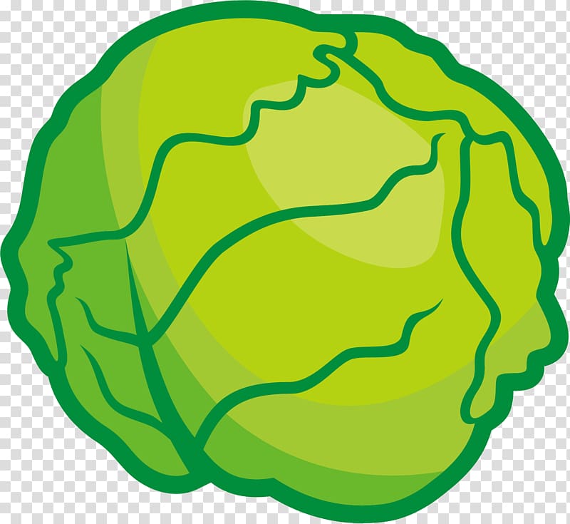 Cabbage Profiterole Vegetable , Small fresh green cabbage transparent background PNG clipart