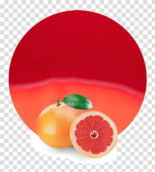 Blood orange Grapefruit juice Clementine, honeydew juice transparent background PNG clipart
