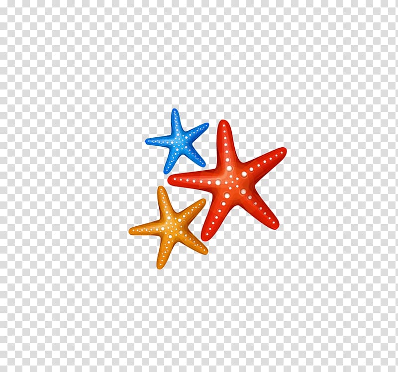 Benthic zone , starfish transparent background PNG clipart
