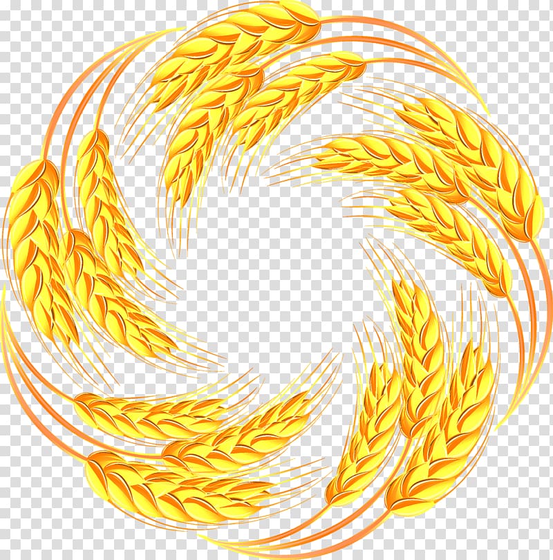 wheat grain , Wheat Caryopsis Illustration, Wheat transparent background PNG clipart
