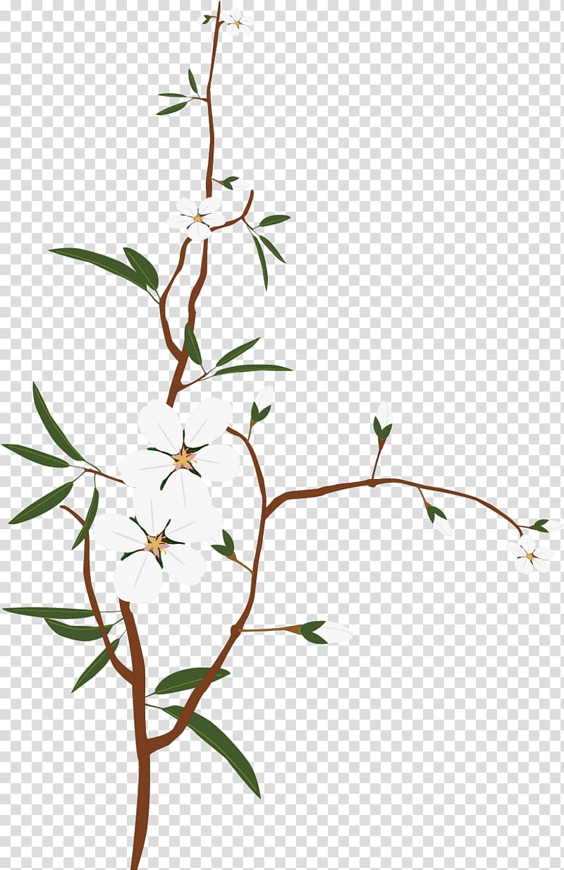 white flowers and green leaves art, Twig, Snow White Plum Plum material transparent background PNG clipart