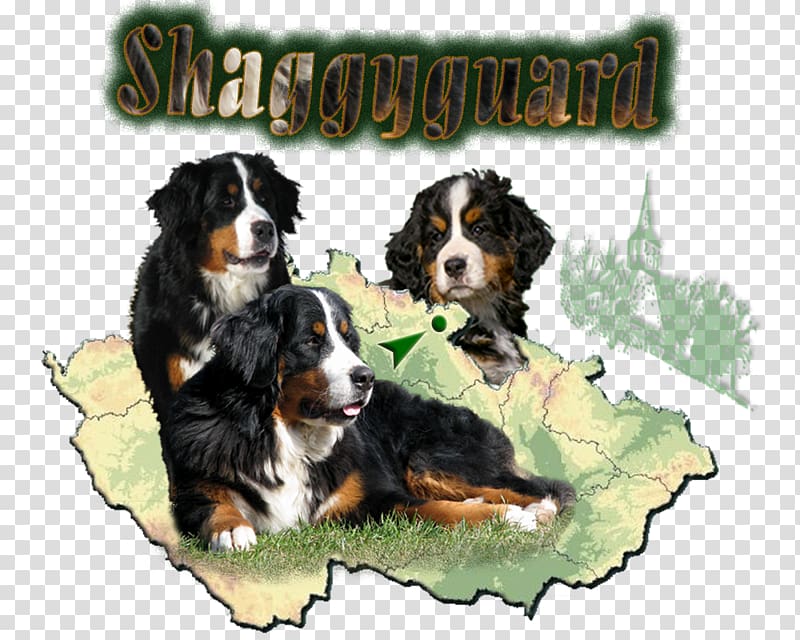 Dog breed Bernese Mountain Dog Greater Swiss Mountain Dog Entlebucher Mountain Dog Puppy, puppy transparent background PNG clipart