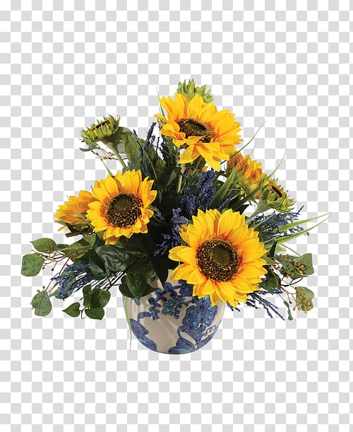 Common sunflower Floral design Cut flowers Transvaal daisy, flower transparent background PNG clipart