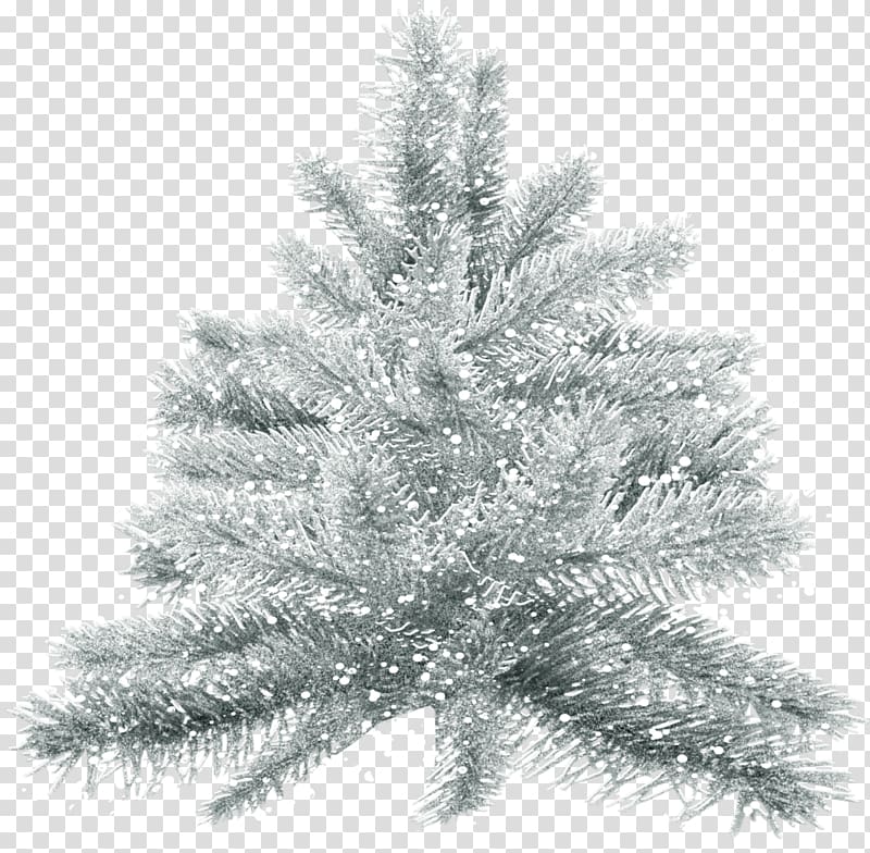 Desktop Winter time Tone Drop Snow, winter transparent background PNG clipart