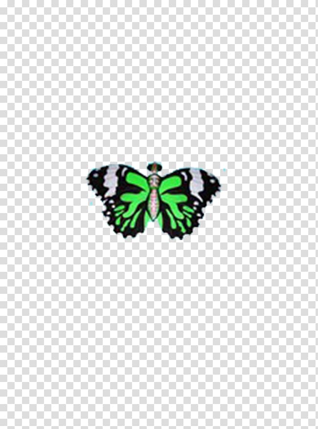 Nymphalidae Butterfly Green Pattern, butterfly transparent background PNG clipart
