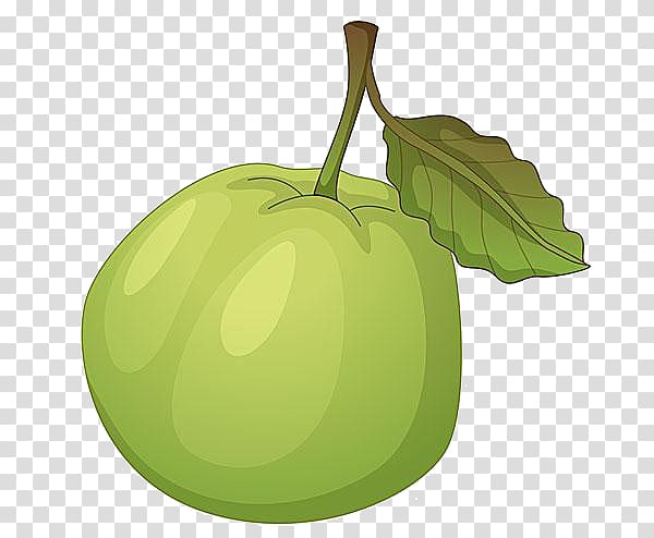 Guava , Cartoon green apple material transparent background PNG clipart