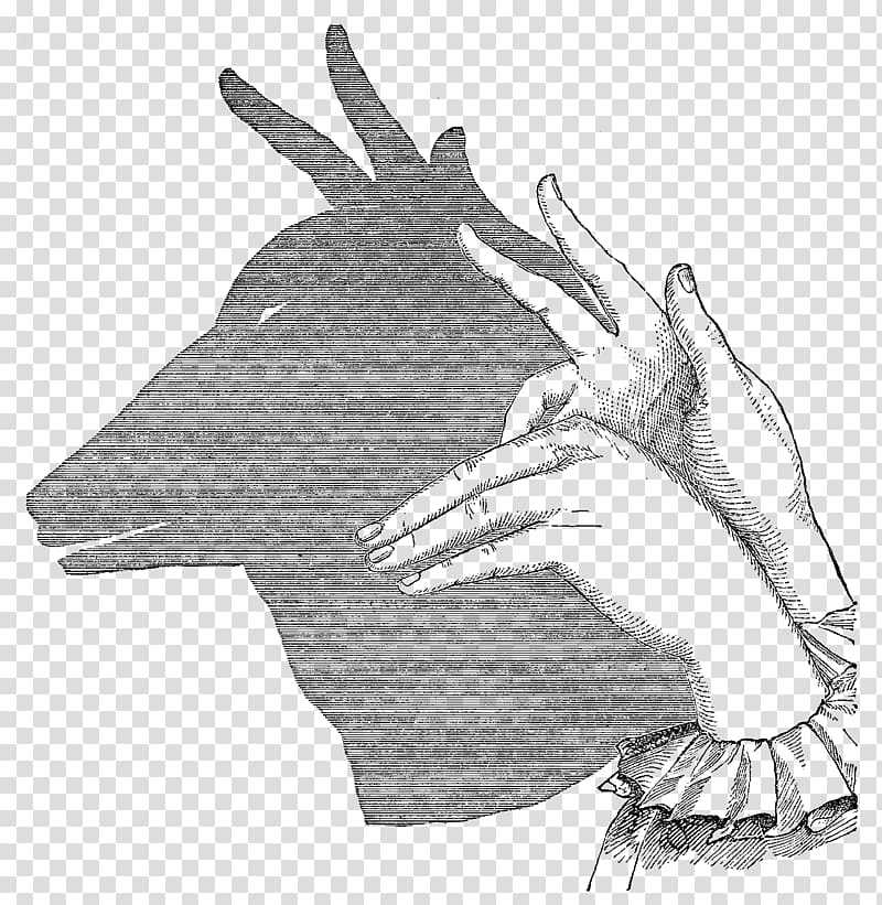 Shadow play Puppetry Shadowgraphy, shadow puppet transparent background PNG clipart