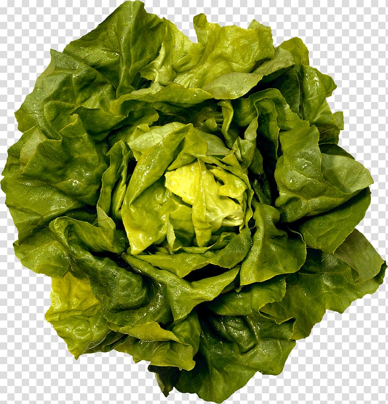 Lettuce Mesclun Vinaigrette Salad Vegetable, Green Salad transparent background PNG clipart