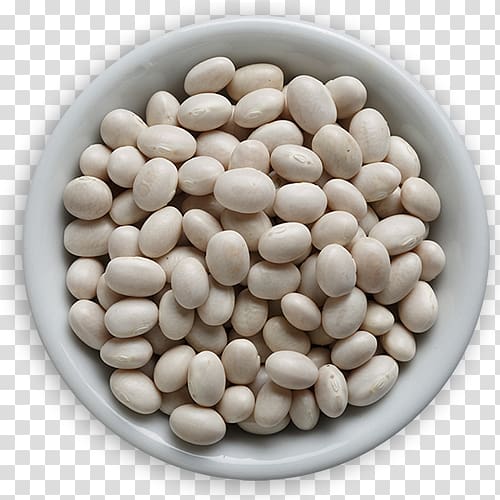 Vegetarian cuisine Cranberry bean Navy bean Legume, Red Beans transparent background PNG clipart