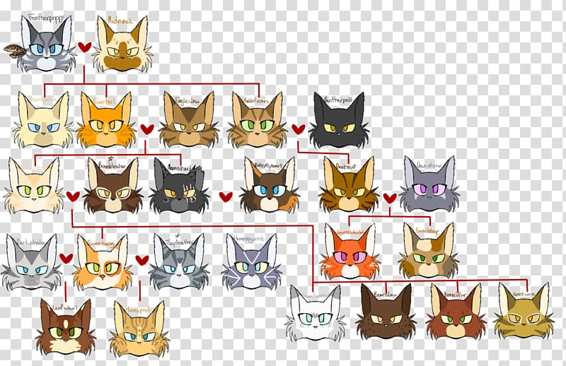 Cat Warriors Family tree Jayfeather, Cat transparent background PNG clipart
