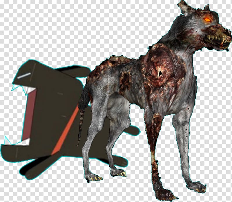 Dog breed Call of Duty: Zombies Call of Duty: Black Ops White Shepherd Hellhound, Zombie Dog transparent background PNG clipart