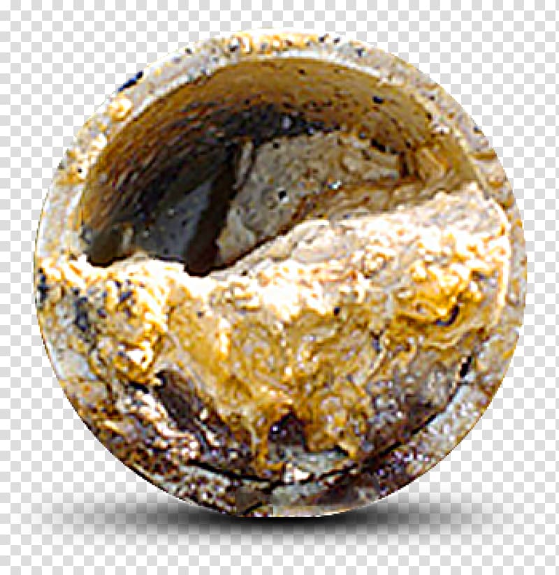 Museum of London Whitechapel Science Museum, London Fatberg, others transparent background PNG clipart