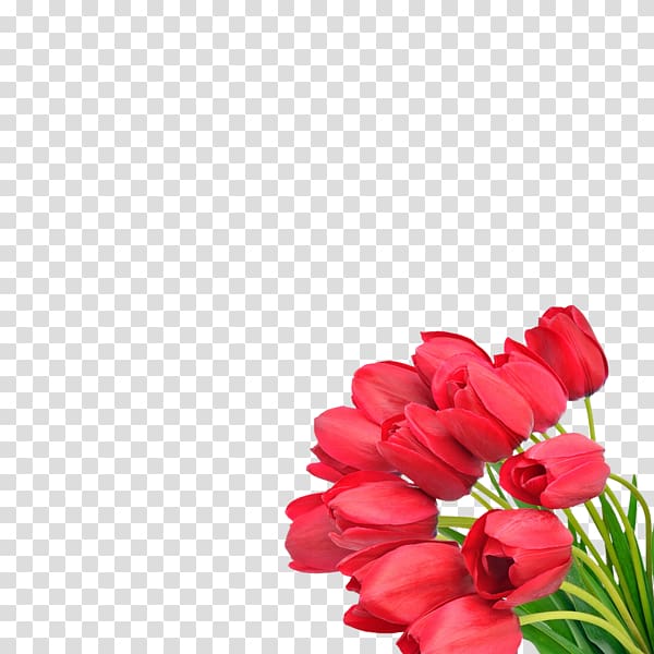 Flower bouquet Tulip Cut flowers, flower transparent background PNG clipart