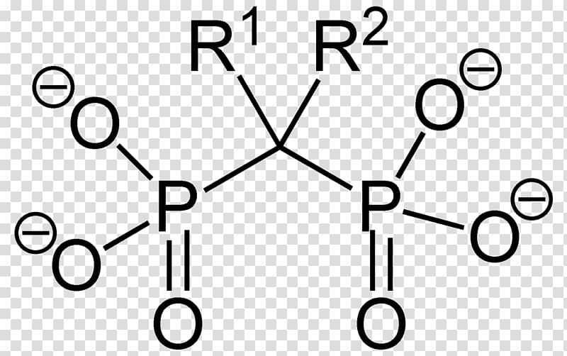 Alendronic acid Bisphosphonate Osteoporosis Therapy Disease, others transparent background PNG clipart