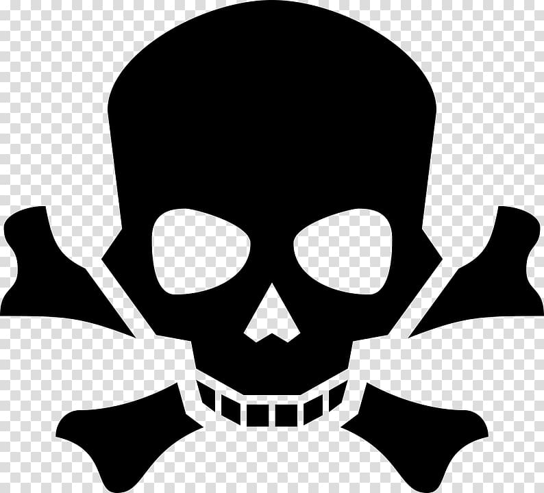 Skull Computer Icons , death transparent background PNG clipart