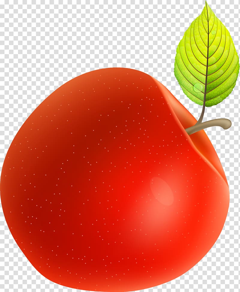 Red Plum tomato Apple, Hand painted red apple transparent background PNG clipart