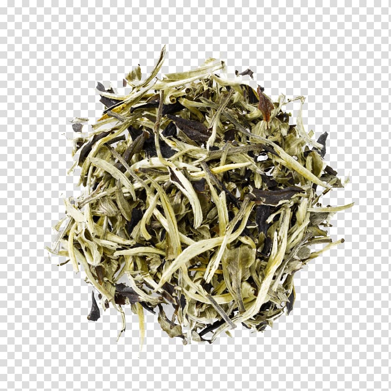 White tea Dianhong Nilgiri tea Tea plant, tea transparent background PNG clipart