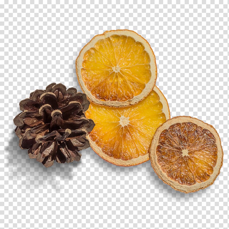 Orange , Echinacea Lemon transparent background PNG clipart