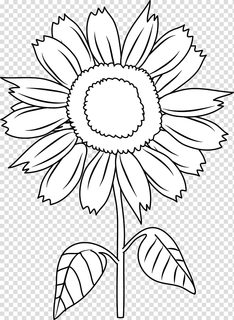 white and black sunflower , Black and white , Black Sunflower transparent background PNG clipart