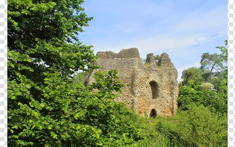 Ruins Middle Ages Nature reserve Historic site Medieval architecture, Windsor castle transparent background PNG clipart