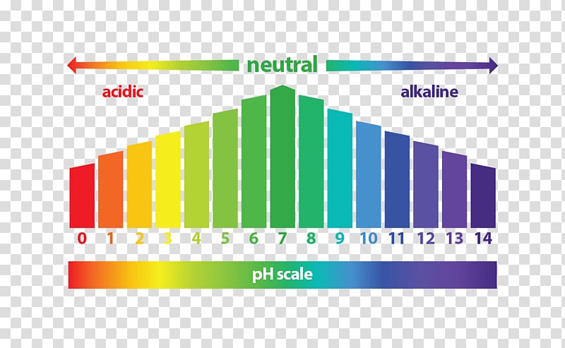 Diagram pH Universal indicator Alkaline diet Acid, Healing Fibroids A Doctor\'s Guide To A Natural Cur transparent background PNG clipart