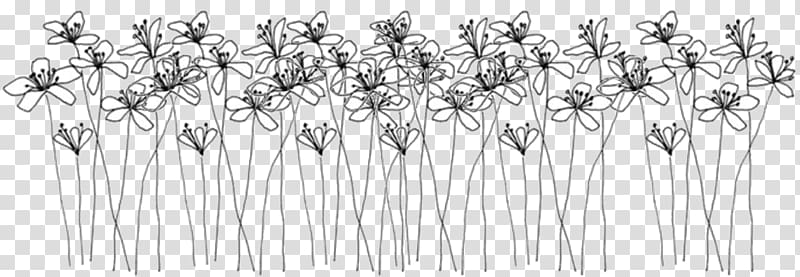 Ellsworth Kelly: Plant Drawings Doodle Flower, flower transparent background PNG clipart