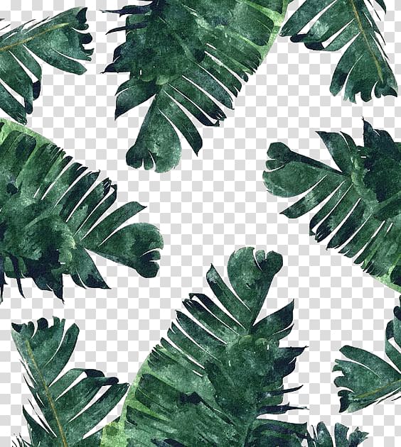 Banana leaf Canvas print Watercolor painting , Watercolor dark green banana leaf, banana leaf painting transparent background PNG clipart