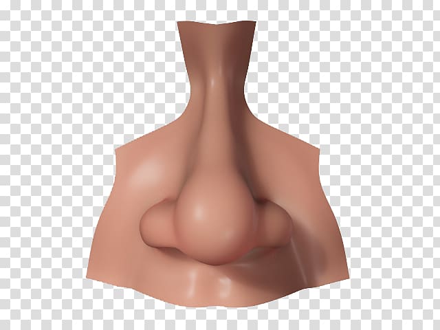 Human nose 3D computer graphics CGTrader 3D modeling, Nose transparent background PNG clipart
