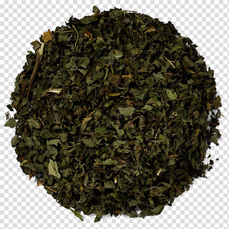 Nilgiri tea Tieguanyin Leaf Tea plant, Leaf transparent background PNG clipart