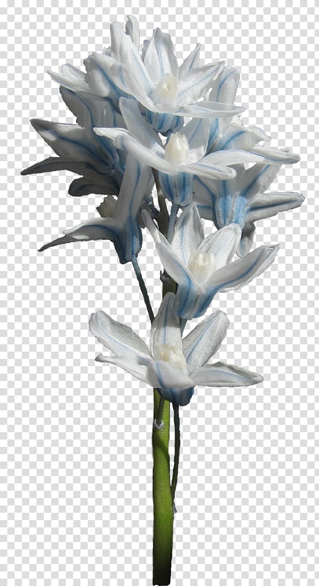 Cut flowers Hyacinthus orientalis , hyacinth transparent background PNG clipart