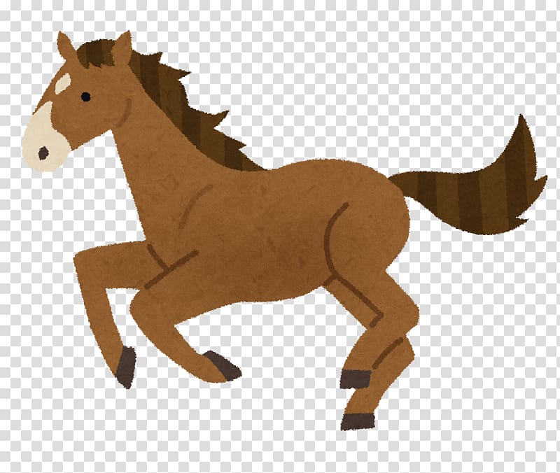 Thoroughbred Institute for solid state physics, the university of Tokyo Canter and gallop equestrian sport, others transparent background PNG clipart