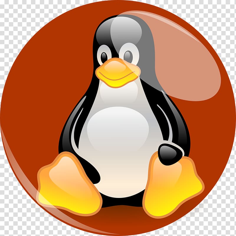 Tux Racer Penguin Red Hat Software Red Hat Enterprise Linux, penguin transparent background PNG clipart