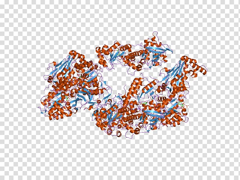 Nicotinamide phosphoribosyltransferase Art museum pre-B-cell colony enhancing factor 1, others transparent background PNG clipart