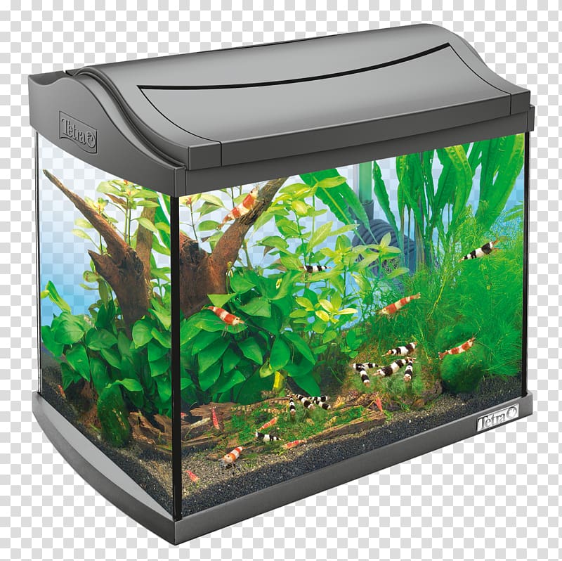 Tetra Nano aquarium Aquariums Innenfilter, aquarium transparent background PNG clipart