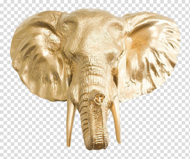 African elephant Elephantidae Tusk Gold Silver, gold transparent background PNG clipart