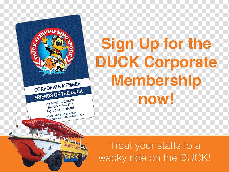 Duck tour Duck & Hippo Bus DUCKtours, duck transparent background PNG clipart