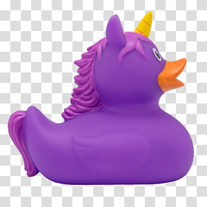 Duck The Last Unicorn Purple Rhinoceros, duck transparent background PNG clipart thumbnail