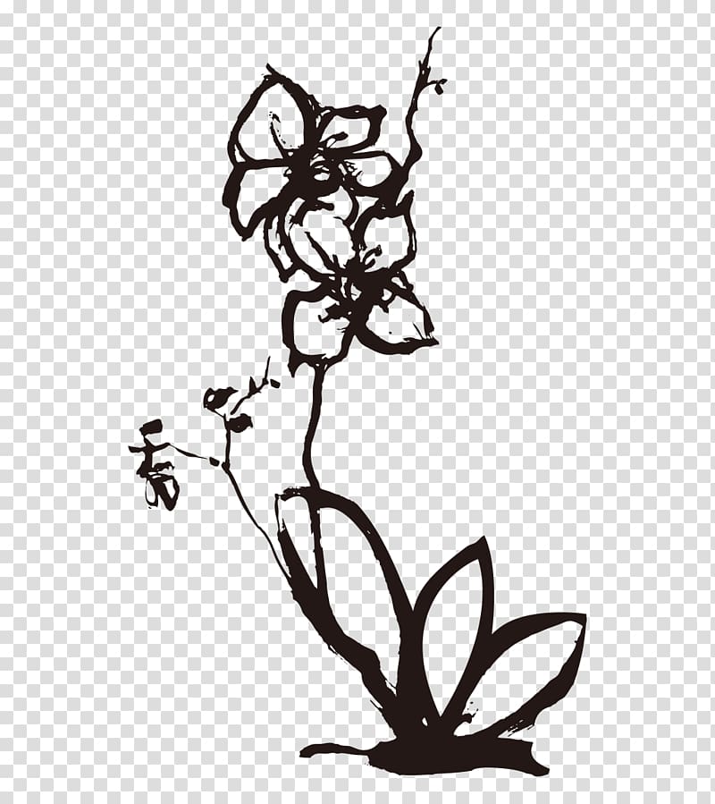 Orchids Drawing Euclidean , Plum freehand transparent background PNG clipart