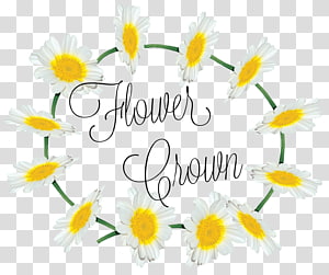 Floral design Cut flowers Petal Font, design transparent background PNG clipart thumbnail