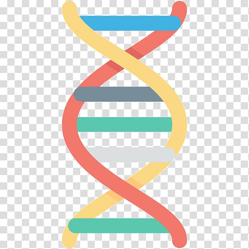 The Double Helix: A Personal Account of the Discovery of the Structure of DNA Nucleic acid double helix Genetics, do not conform to social morality transparent background PNG clipart