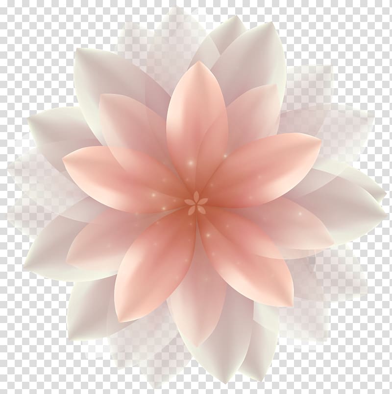 pink flower illustration, Flower , Beautiful Flower transparent background PNG clipart